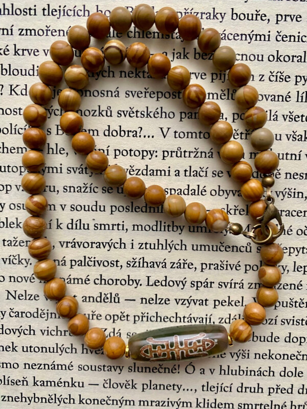 Náhrdelník s DZI korálkem Pavouk a Hmyz štěstí