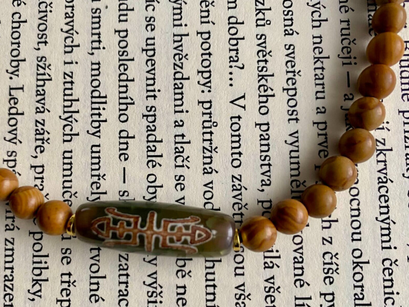 Náhrdelník s DZI korálkem Pavouk a Hmyz štěstí