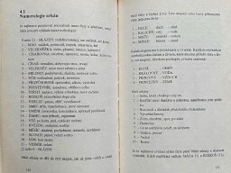 Kniha "Mistrovská numerologie"  