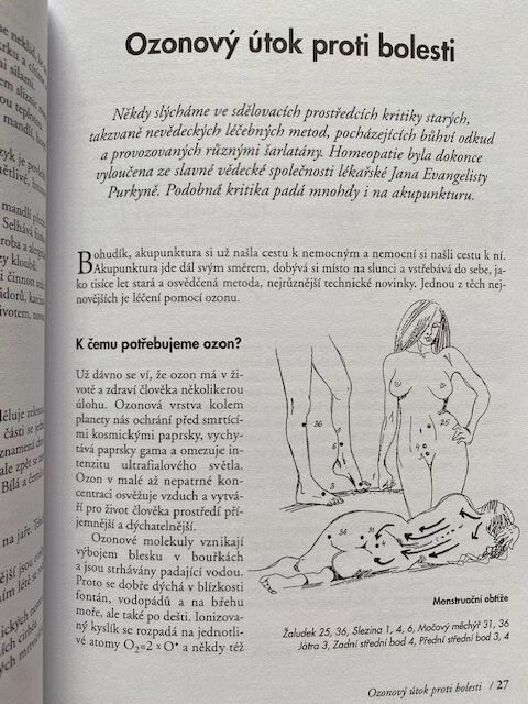 Kniha "Tisíciletí s akupunkturou"  