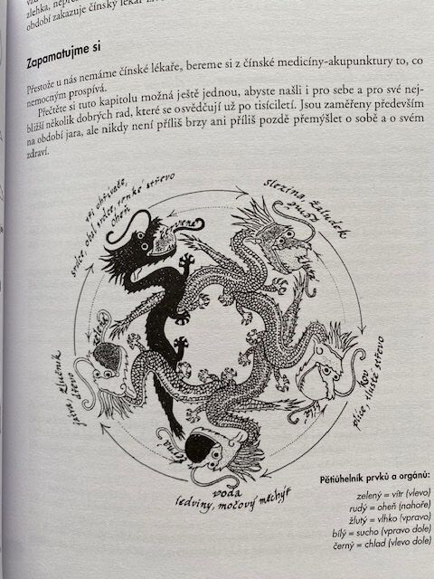Kniha "Tisíciletí s akupunkturou"  