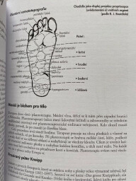 Kniha "Tisíciletí s akupunkturou"  