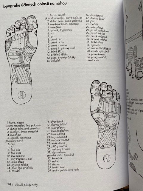 Kniha "Tisíciletí s akupunkturou"  