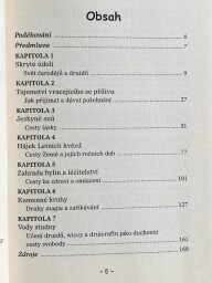 Kniha "Magie druidů a wiccanů"   