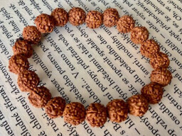 Rudraksha náramek