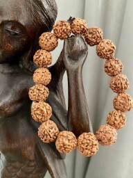 Rudraksha náramek 