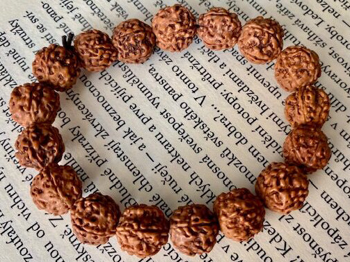 Rudraksha náramek 
