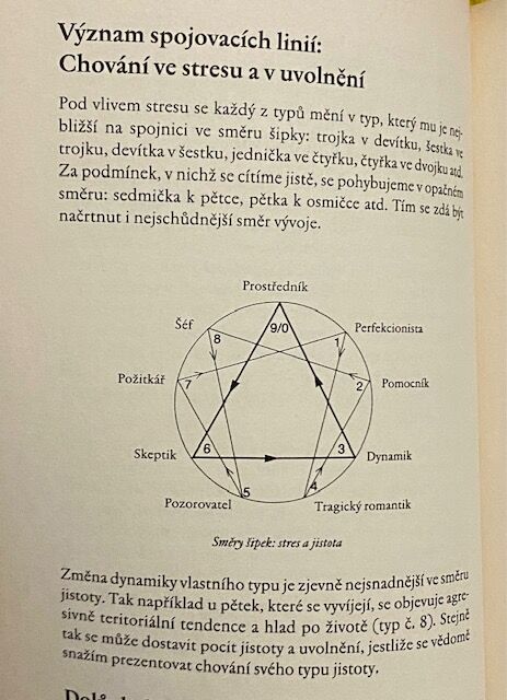 Kniha "Enneagram v panelových rozhovorech"   