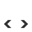 Primary Raster logo